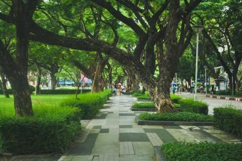 Footpath on nature background Stock Photos