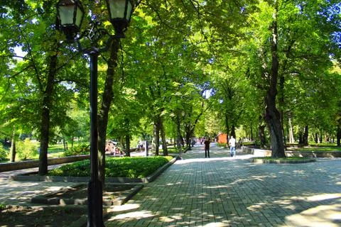 Footpath in the park with big trees Foto stock