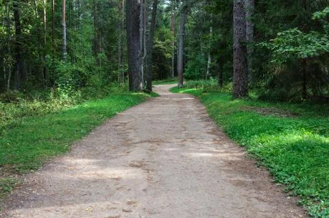 Footpath in the park Stock Photos