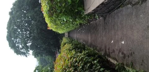 A footpath in a park Stock Photos