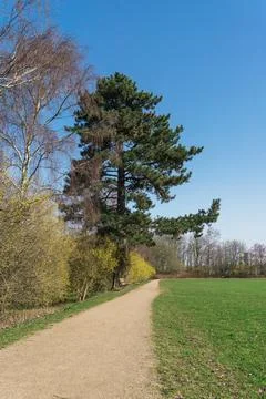 Footpath in park Stock Photos