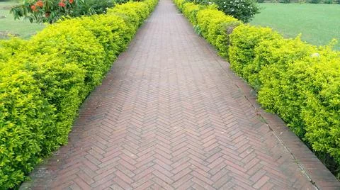 Footpath of a park. Stock Photos