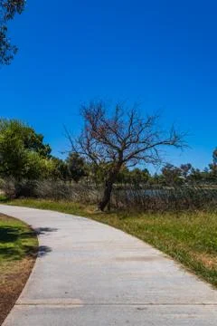 Footpath in the park to walk near lake front Stock Photos