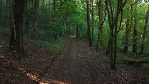 A Footpath Passes Through Wooded Wilderness In A Serra de Outes Stock Footage 344946079