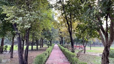 Footpath passing through trees in a park during the daytime in Delhi Vidéo 228614646