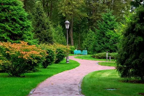 Footpath in perspective a park with bends in park with green lawns and pine. Fotos de archivo