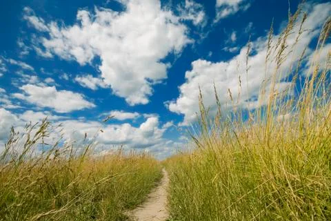 Footpath Stock Photos
