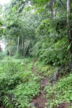 Footpath Stock Photos