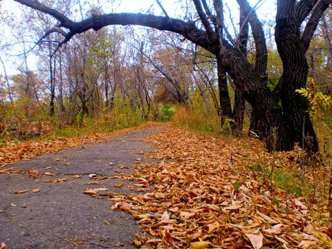 Footpath Stock Photos