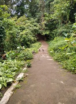 Footpath.  Stock Photos