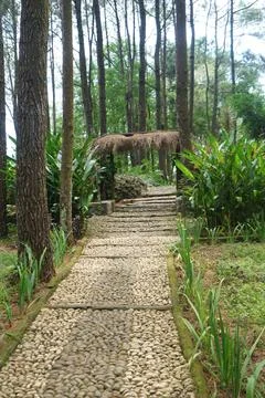 Footpath Stock Photos