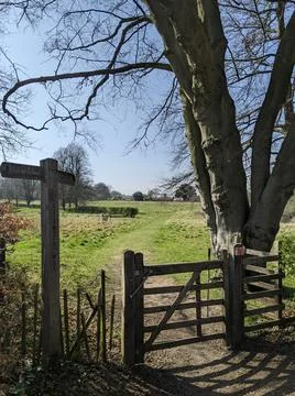 Footpath Stock Photos