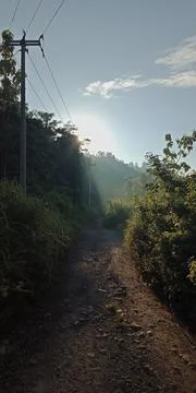 Footpath Stock Photos