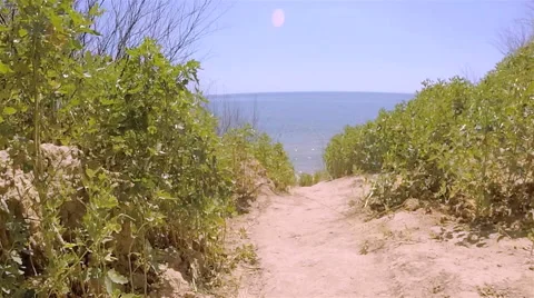 Footpath in ravine . Summer time. Animal view Stock Footage