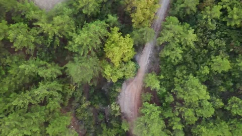 The Footpath Road in Forest. Aerial Drone Cinematic Video To The Left. Stock Footage