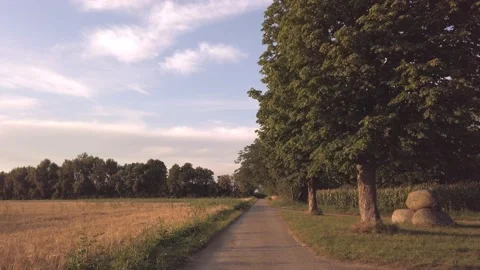 Footpath in a Rural Area Stock Footage