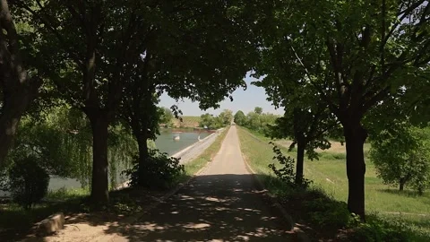 A footpath in a shadow of trees alongside lake Moharac in Serbia Stock Footage 269540956