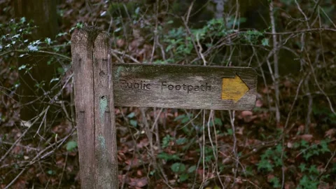 Footpath sign in woods, slow motion Stock Footage 139011680