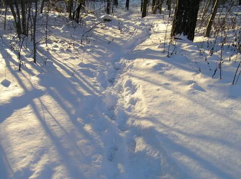 Footpath in snow Stock Photos