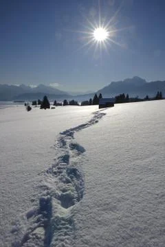 Footpath in snow Stock Photos