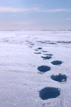 Footpath in the snow Stock Photos
