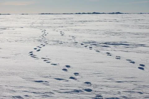 Footpath in the snow Foto stock