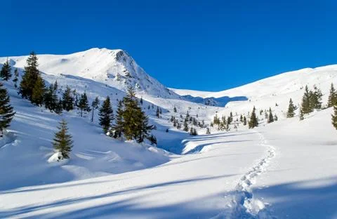 Footpath in snow Stock Photos