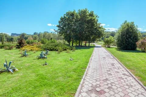 Footpath in the spring park Stock Photos