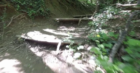 Footpath with steps in forest. Walking point of view. Stock Footage 75777614