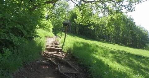 Footpath with steps from roots in forest. Walking point of view. Stock Footage 75753304