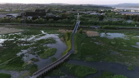 Footpath suspension bridge Stock-Footage 142666623