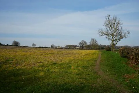 Footpath Through Fields With Distant Farm Buildings, Barlow, North East 스톡 사진