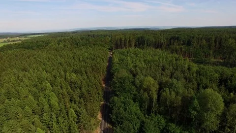 Footpath through forest Stock Footage 76582584