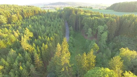 Footpath through forest Stock Footage 76630206