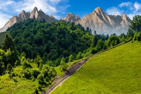 Footpath through forest on hillside Stock Photos