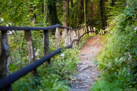 A footpath through the forest next to a handrail in warm evening light. Taken Stock Photos
