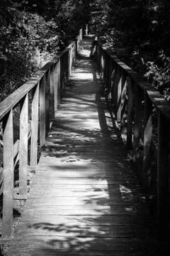 Footpath through the forest Stock Photos