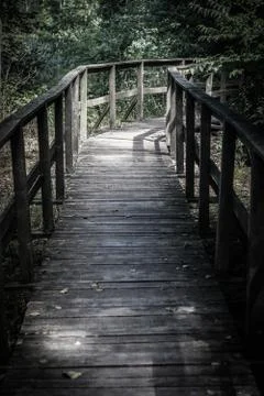 Footpath through the forest Stock Photos