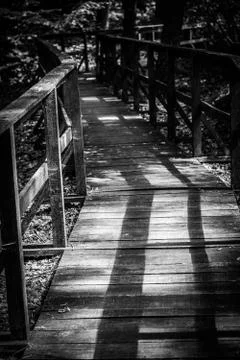 Footpath through the forest Foto stock