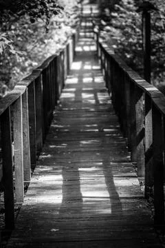 Footpath through the forest Foto stock