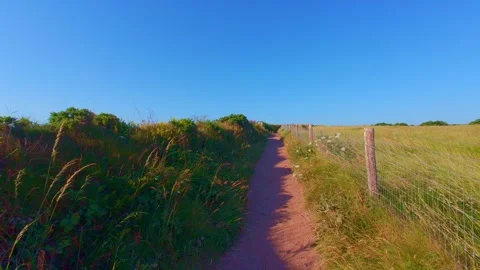 Footpath through grassy coastal field under clear blue sky Stock Footage 340450862