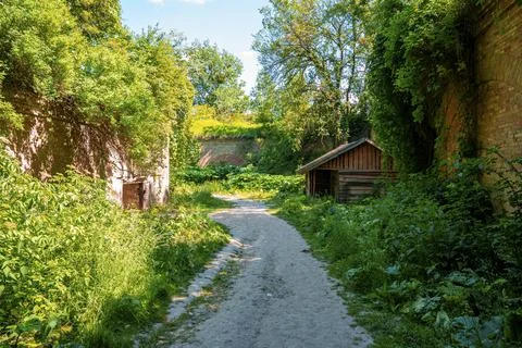 Footpath through old abandoned fort surrounded by green plants on sunny day Stock Photos
