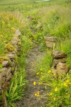 Footpath through ruins Foto stock