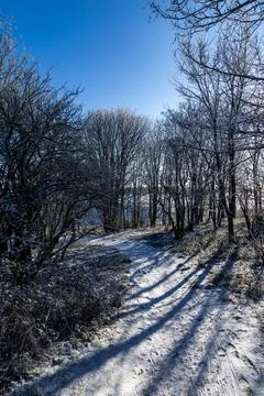 A footpath through trees near Devil's Dyke in Sussex, with snow on the grou.. Stock Photos