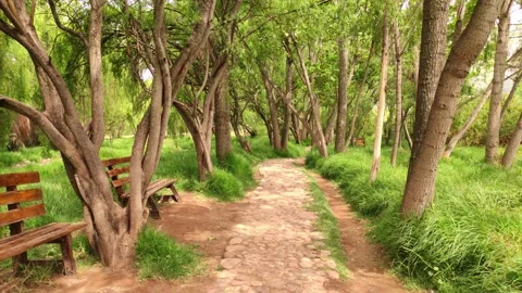 Footpath with two benches and trees in a park near Cusco, Peru 動画素材 288166891