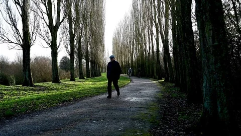 Footpath in winter Stock Footage 121262875