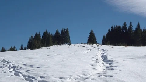 Footpath in the winter mountains Stock Footage 101032060