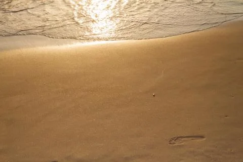 Footprint on the beach Stock Photos