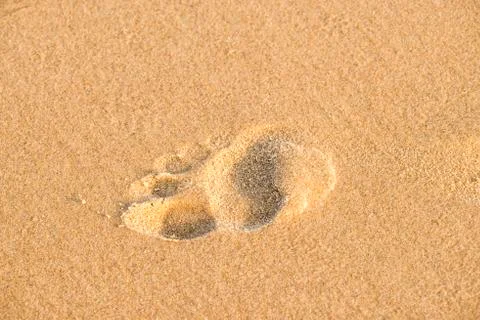 Footprint on a beach Stock Photos