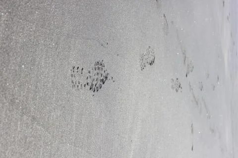 Footprint boot in the sand on the beach Stock Photos